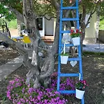 Ferienhaus Seaside House For Families With Children Banj, Pasman - 24665 Kukljica